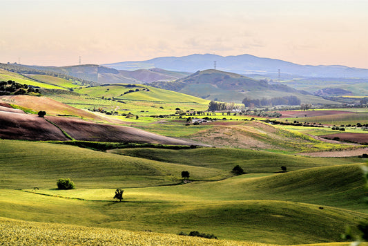 Paisaje Andaluz I